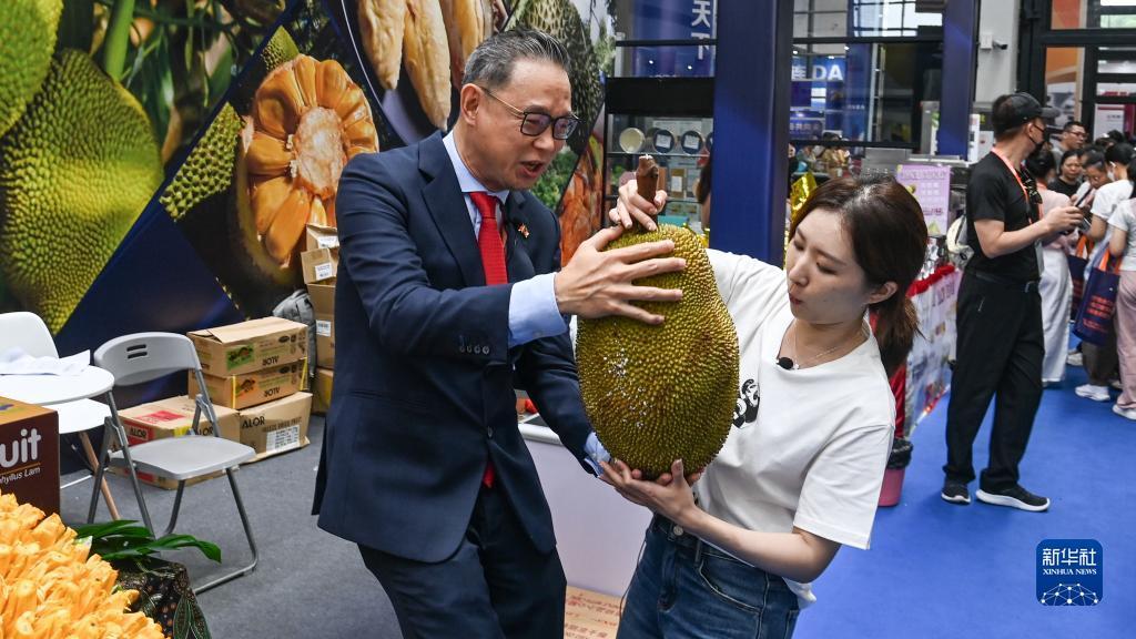 赌大小必赢